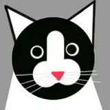 Ashu