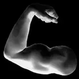 diymuscle