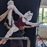 pawpetshow