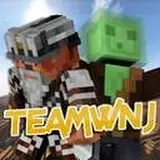 TeamWnJ