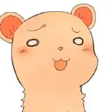 冬野みかん