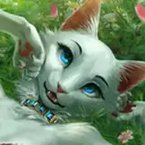 Momobeda