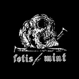 Fotis Μint