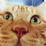 Baburusushico