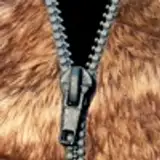 foxmcfly