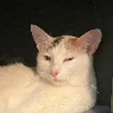 Logarhythm