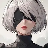 2B collection