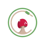 omricohen