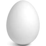 WirelessEggy