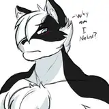 JWink