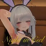 Ciel's Secret Room (Japanese VR ERP)