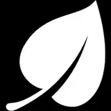 whiteleafstudio