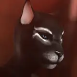 KC3D