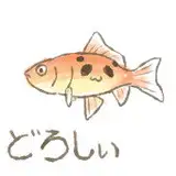 どろしぃ▼仕事募集中