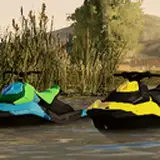MosesCustoms