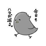 ささみどり