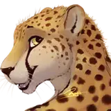 rajii