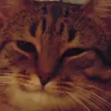 Olivia_Lovenheart